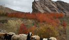 Alamut Castle