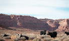 Valley of the Gods