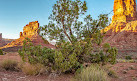 Valley of the Gods