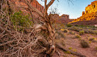 Valley of the Gods