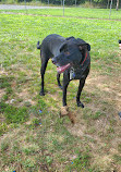 North Brunswick Dog Park