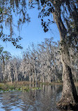 Crooked River Preserve