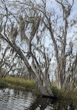 Crooked River Preserve