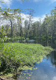 Crooked River Preserve