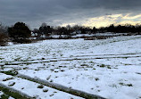 Hillsborough Duck Pond