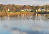 Hillsborough Duck Pond