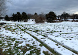 Hillsborough Duck Pond