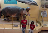 National Museum of Kenya