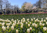 Kasteel Keukenhof