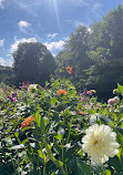 Kasteel Keukenhof