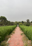 باغ گیاه شناسی ملی ایران