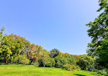 باغ گیاه شناسی ملی ایران