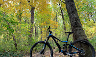 Cunningham Park Mountain Bike Trailhead