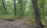 Cunningham Park Mountain Bike Trailhead