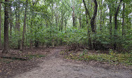 Cunningham Park Mountain Bike Trailhead