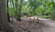 Cunningham Park Mountain Bike Trailhead