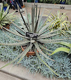 Jardín Botánico de los Estados Unidos