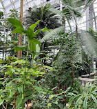 باغ گیاه شناسی ایالات متحده آمریکا