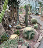 باغ گیاه شناسی ایالات متحده آمریکا