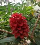 Jardín Botánico de los Estados Unidos