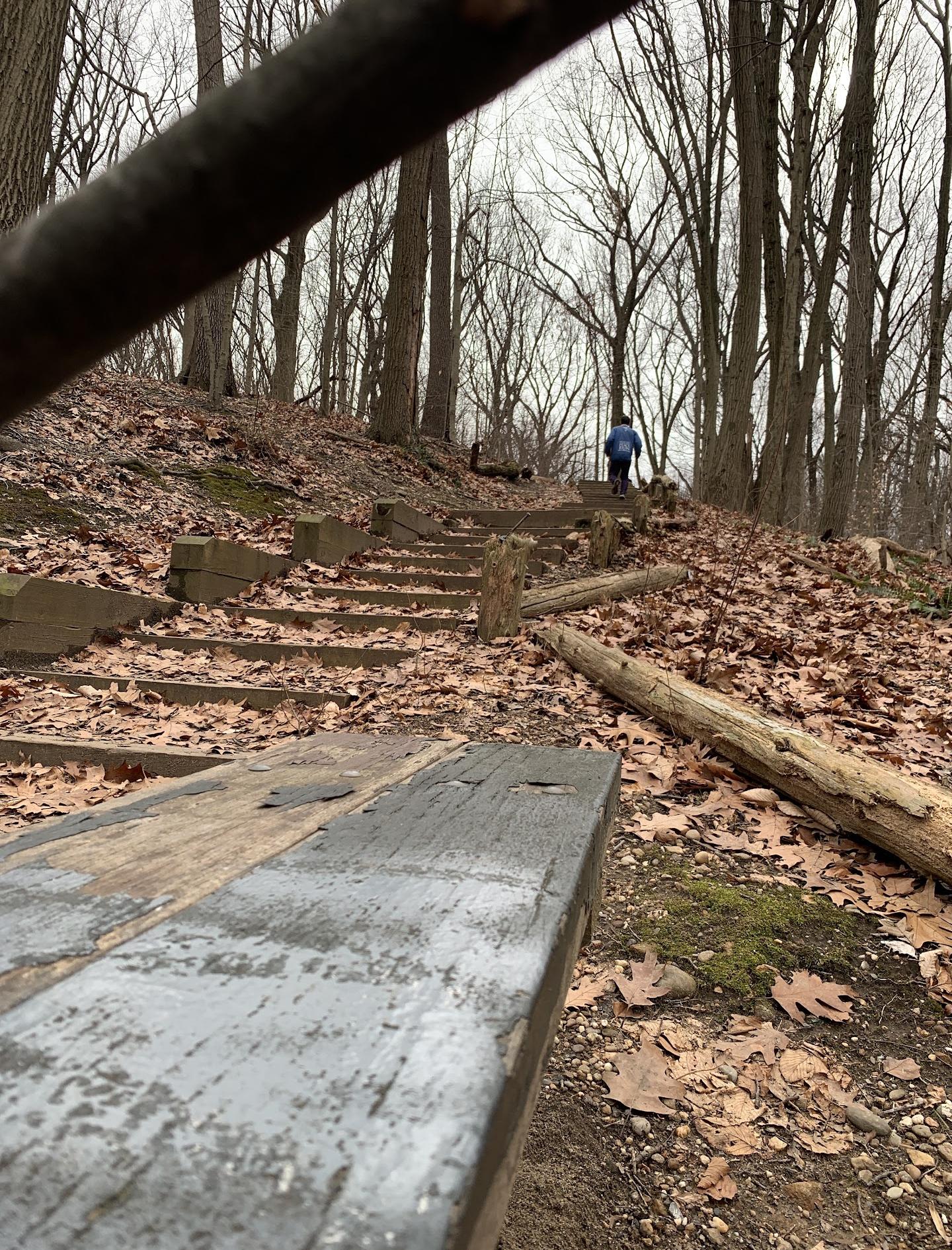Alley Pond Park stairs