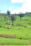 روستای فیلبند