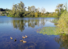 Ed Nixon Trail