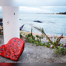 Little Ross Bay Beach