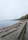 Ross Bay Public Pebbles Beach