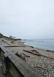 Ross Bay Public Pebbles Beach