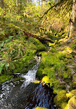 Cascade Trail