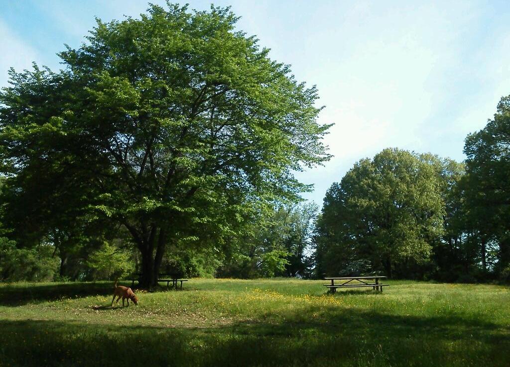 Parc de la Colline Barnard