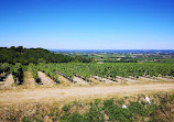 Château de Monbazillac