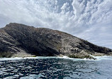 Iceberg Quest Ocean Tours