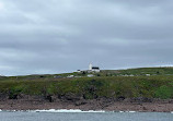 Iceberg Quest Ocean Tours