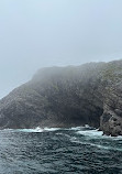 Iceberg Quest Ocean Tours