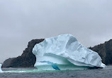 Iceberg Quest Ocean Tours