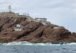 Iceberg Quest Ocean Tours