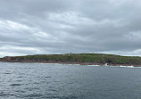 Iceberg Quest Ocean Tours