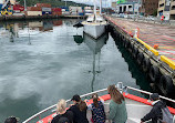 Iceberg Quest Ocean Tours