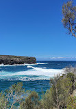 Royal national park coastal walk