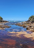 Royal national park coastal walk