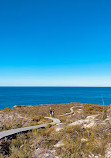 Royal national park coastal walk