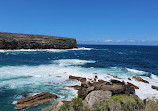 Royal national park coastal walk