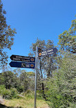 Royal national park coastal walk