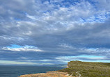 Royal national park coastal walk