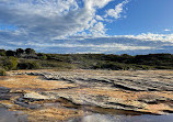 Royal national park coastal walk