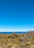 Royal national park coastal walk