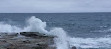 Royal national park coastal walk