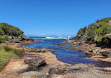 Royal national park coastal walk